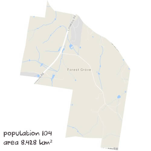 Physics Tutoring Near Me